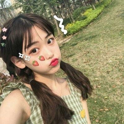 完美伴侣2025