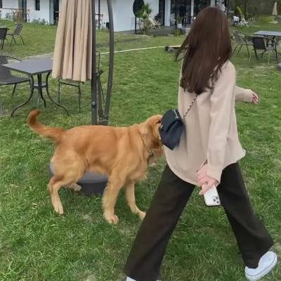 碧亨传:鬼怪的主人